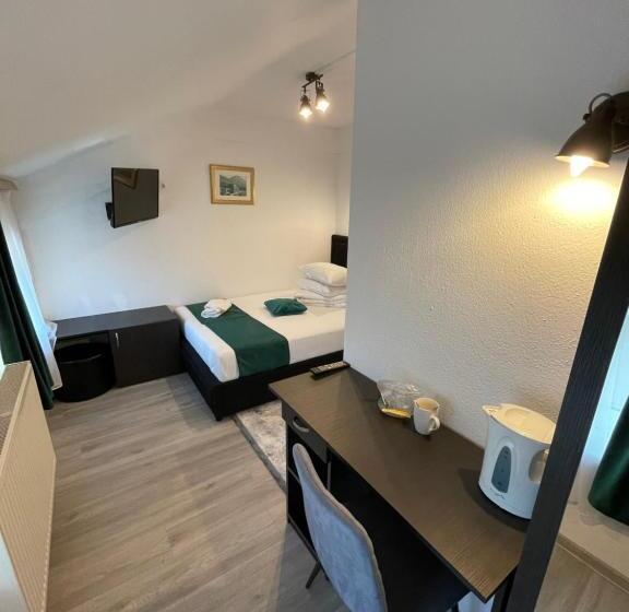 ベッドアンドブレックファースト Pensiunea Pictorilor