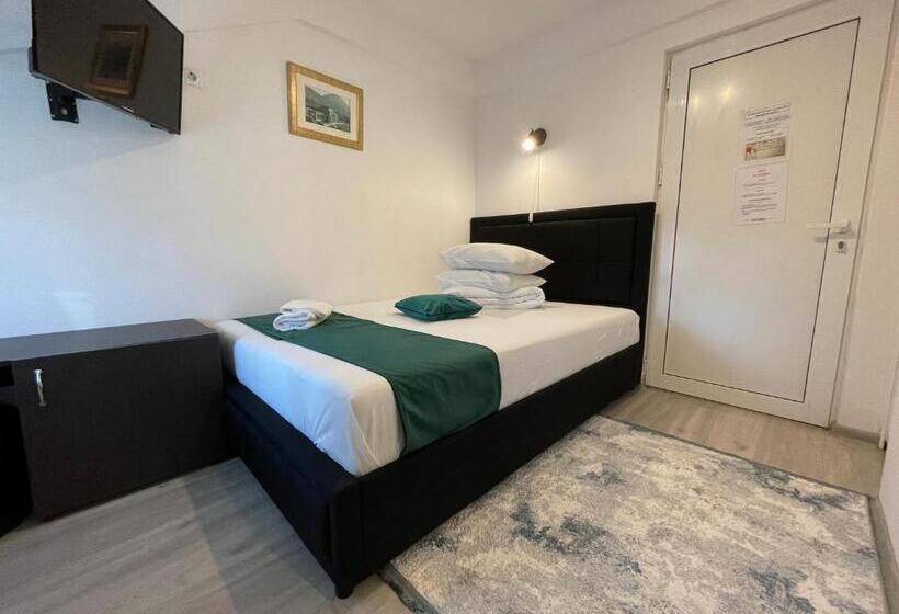 ベッドアンドブレックファースト Pensiunea Pictorilor