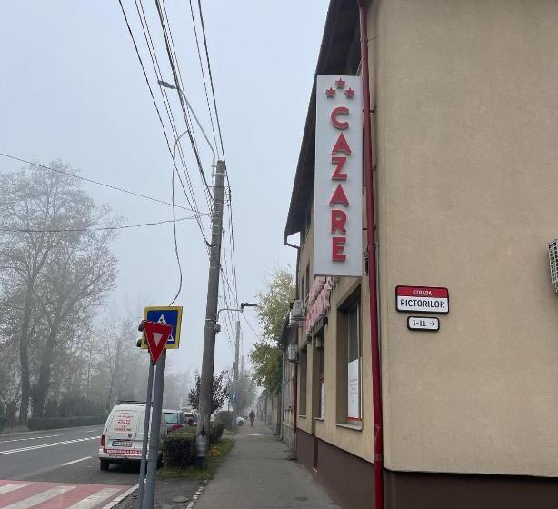 ベッドアンドブレックファースト Pensiunea Pictorilor