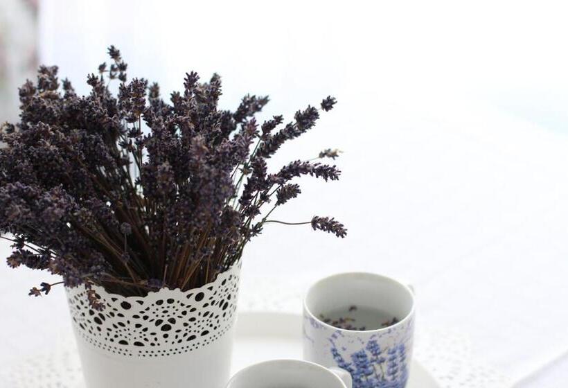 住宿加早餐 Vila Meteor