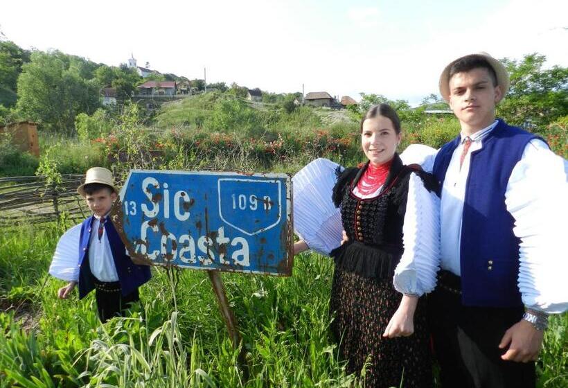 Csipkeszeg Bed & Breakfast Sic / Szék Romania