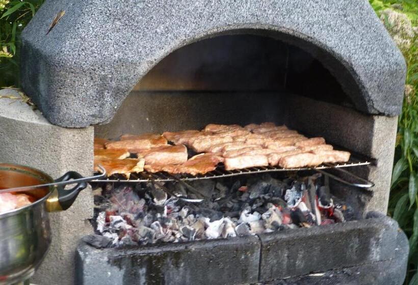 Csipkeszeg Bed & Breakfast Sic / Szék Romania