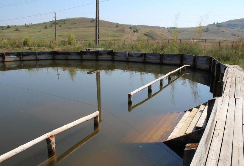 Csipkeszeg Bed & Breakfast Sic / Szék Romania