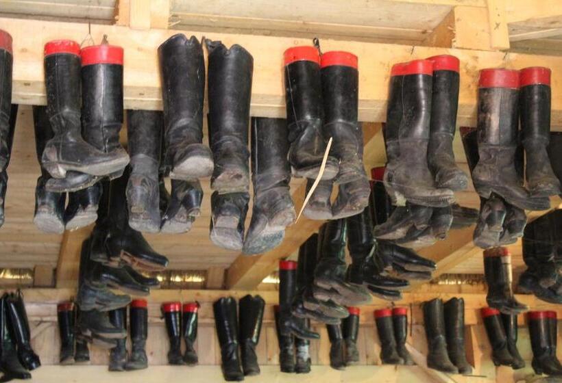 Csipkeszeg Bed & Breakfast Sic / Szék Romania