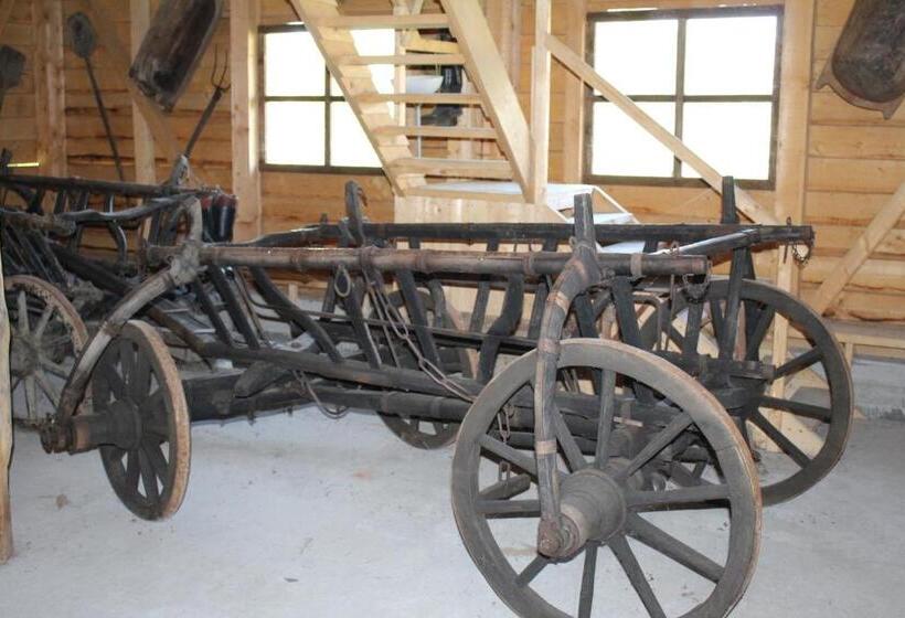 Csipkeszeg Bed & Breakfast Sic / Szék Romania