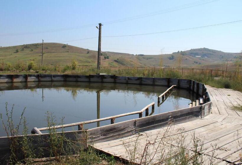 Csipkeszeg Bed & Breakfast Sic / Szék Romania