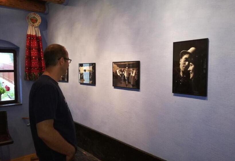 Csipkeszeg Bed & Breakfast Sic / Szék Romania