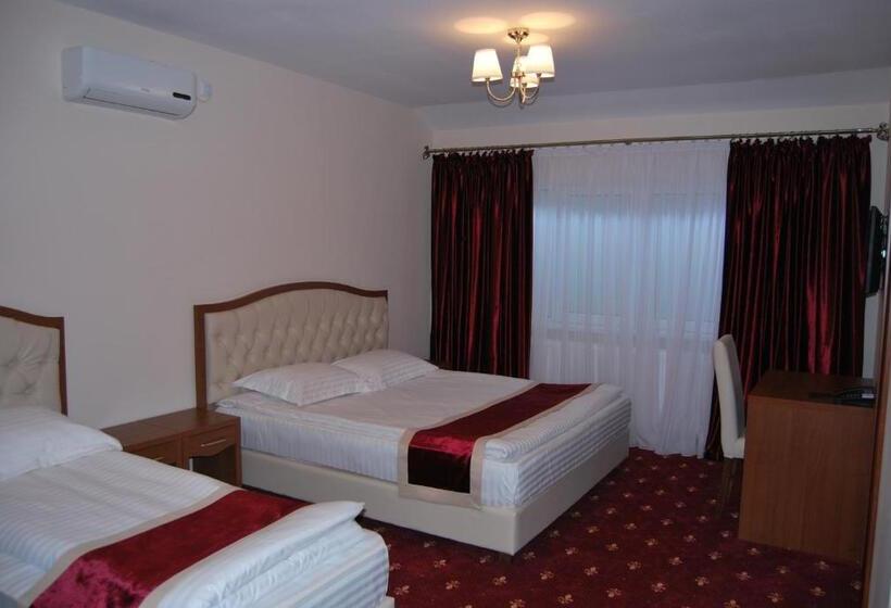Hostel Paltinis