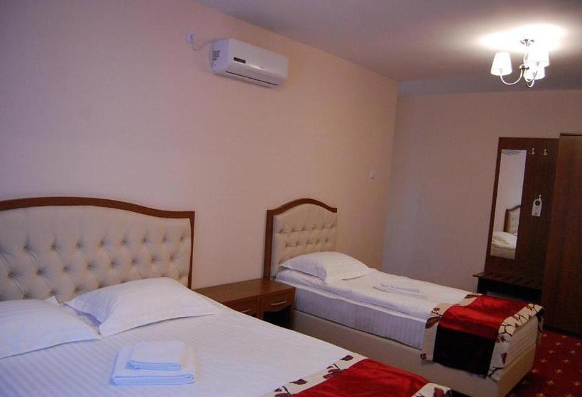 Hostel Paltinis