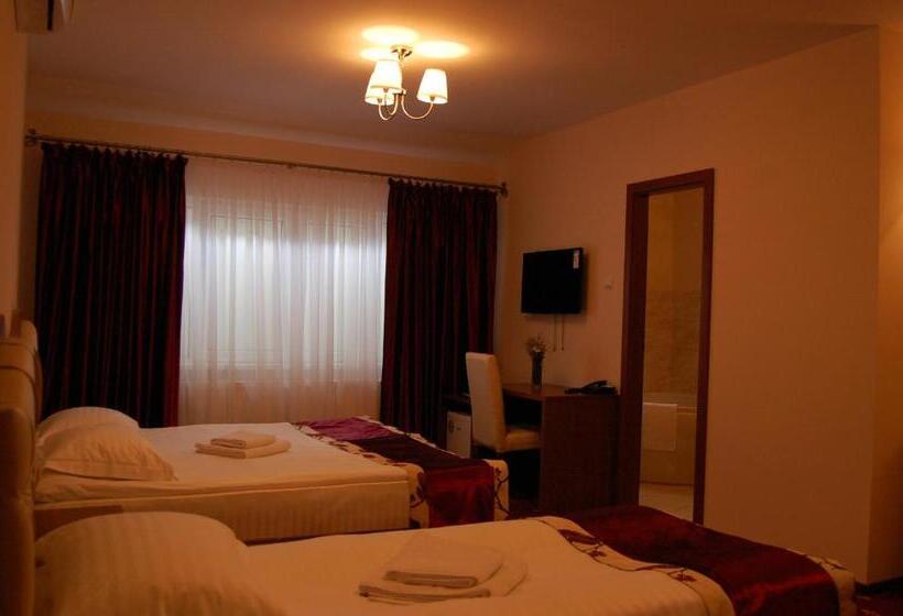 Hostel Paltinis