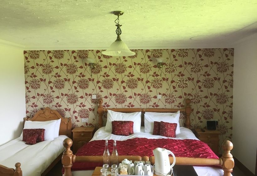 酒店 Abalone Guesthouse Bed And Breakfast