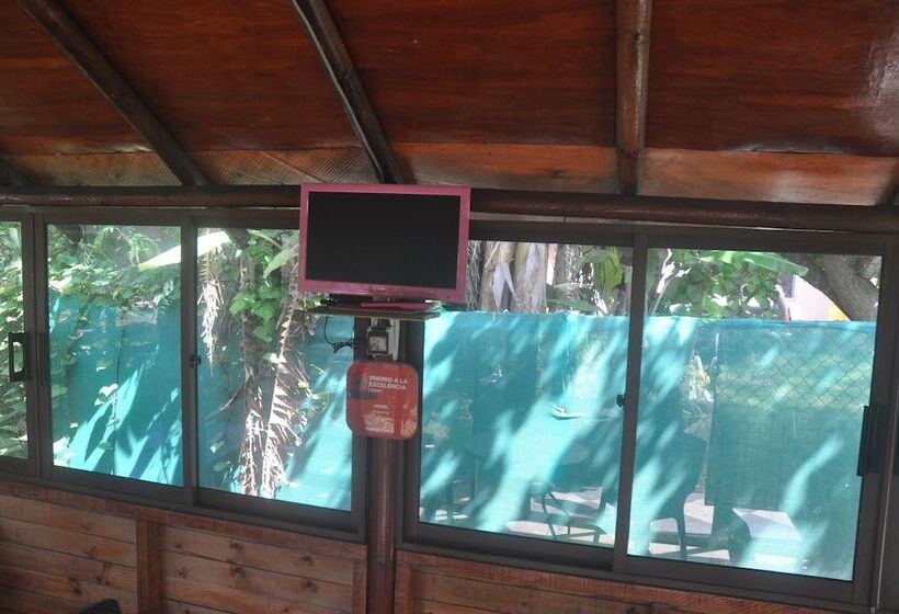 فندق Cabañas Anakena