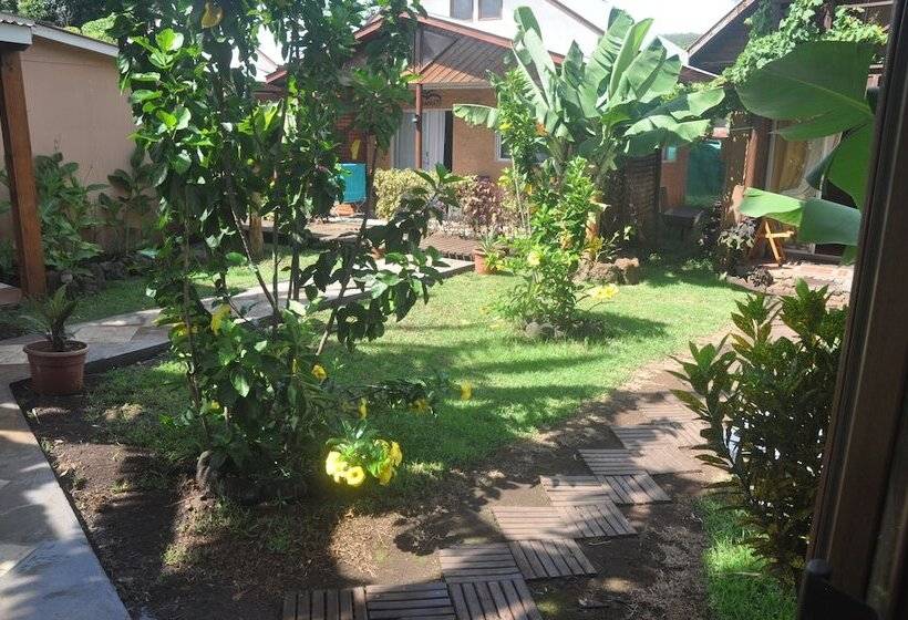 Отель Cabañas Anakena