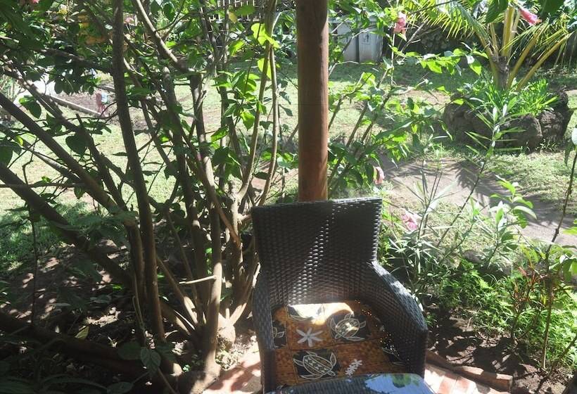 فندق Cabañas Anakena