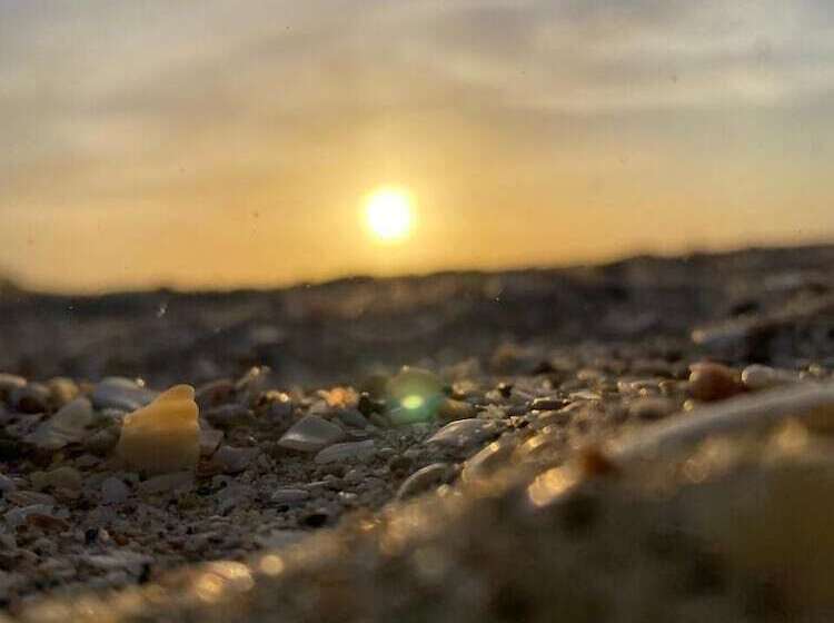 Отель Castillo Del Mar