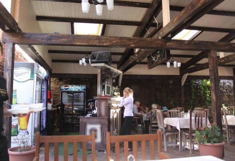 فندق Cazare Turn Sebes