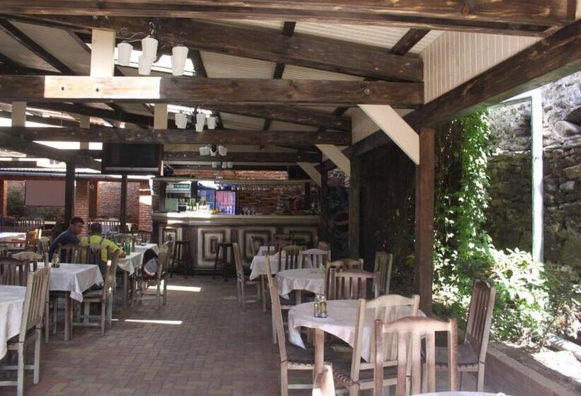 فندق Cazare Turn Sebes