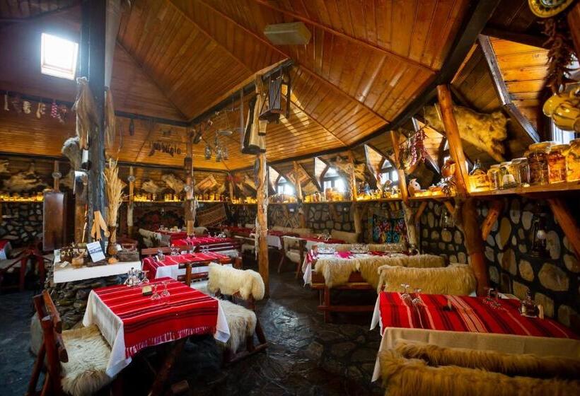 Отель Complex Turistic Moara Dragaicilor