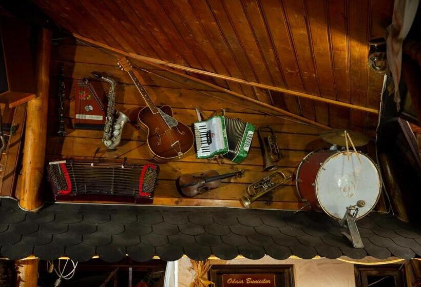 Отель Complex Turistic Moara Dragaicilor