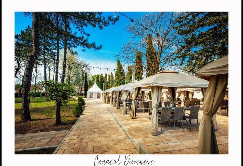 酒店 Conacul Domnesc