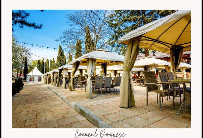 酒店 Conacul Domnesc