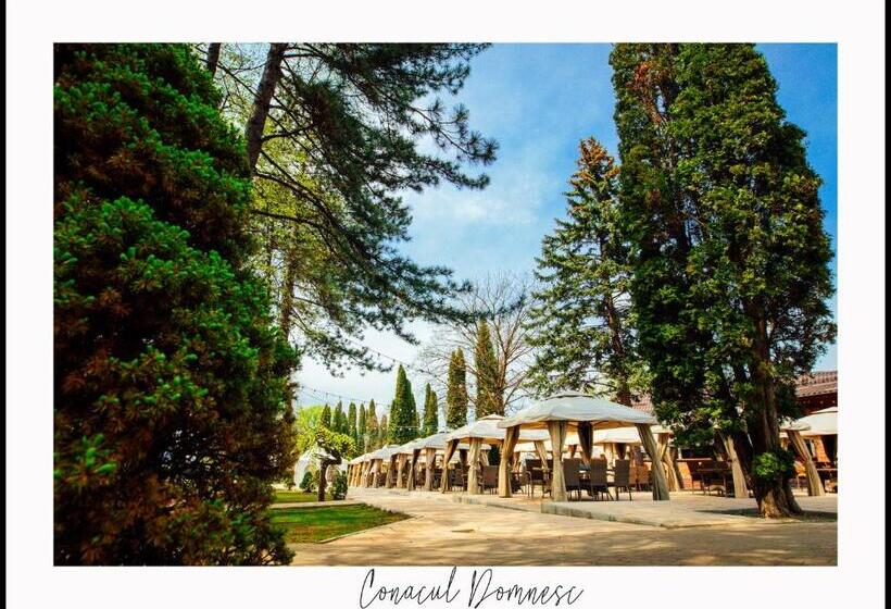 酒店 Conacul Domnesc