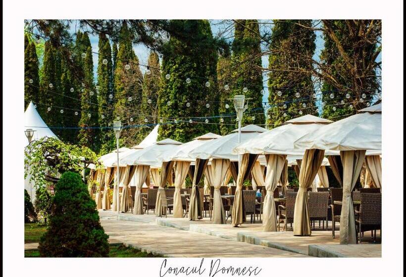 酒店 Conacul Domnesc