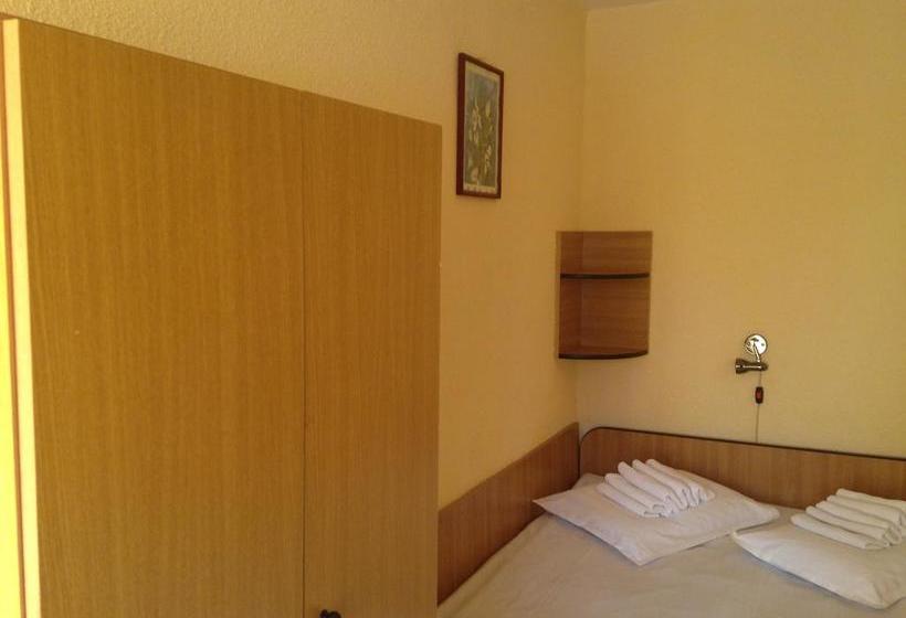 Отель Decebal Bistrita