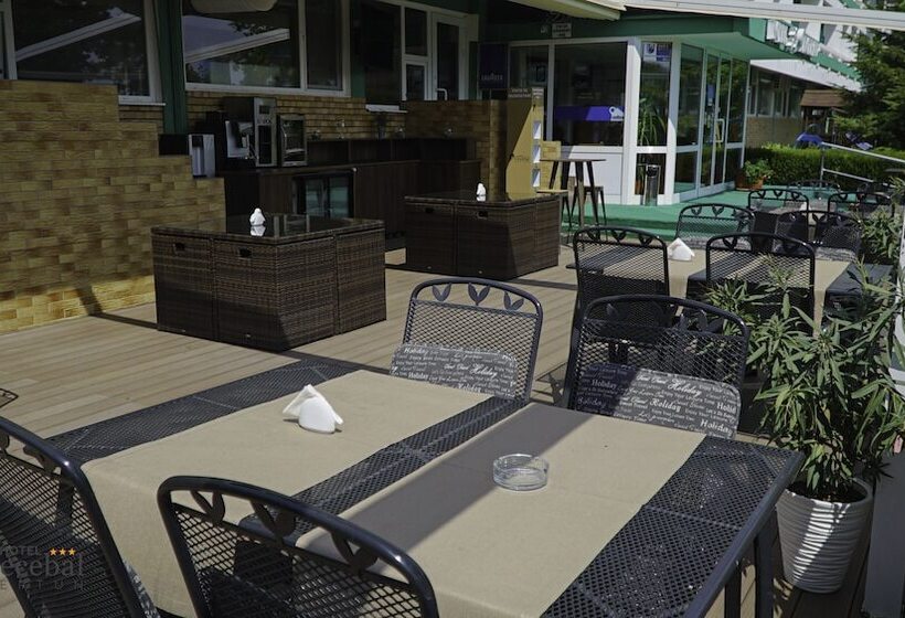 Отель Decebal Estival Neptun