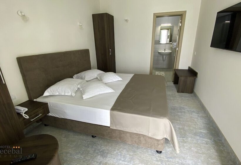 Отель Decebal Estival Neptun