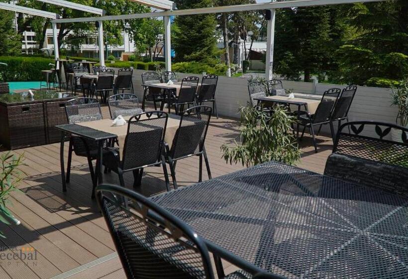 Отель Decebal Estival Neptun