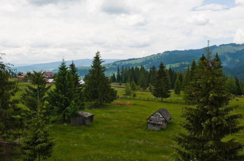 Отель Domeniul Dornei