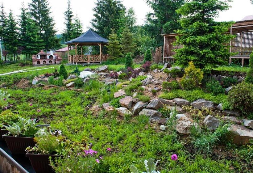 Отель Domeniul Dornei