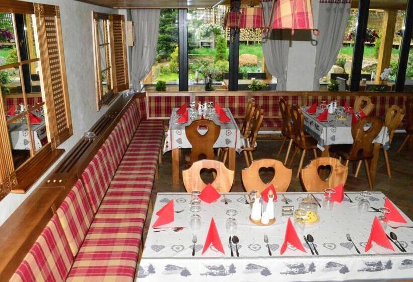 Отель Domeniul Dornei