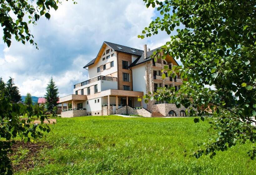 Отель Domeniul Dornei