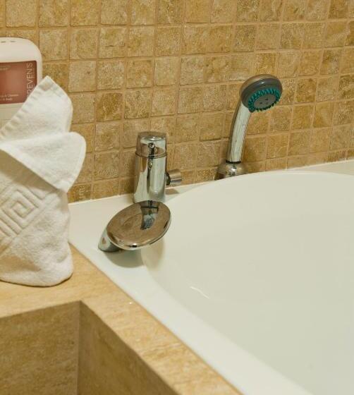 Отель Domeniul Dornei