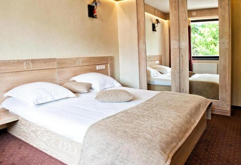 Отель Domeniul Dornei