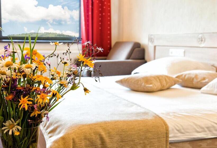 Отель Domeniul Dornei