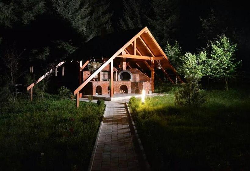 Отель Domeniul Dornei