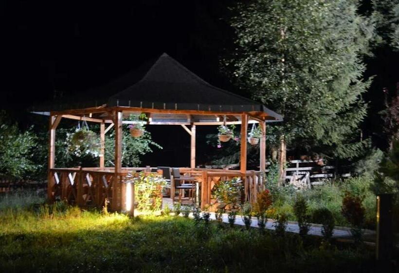 Отель Domeniul Dornei