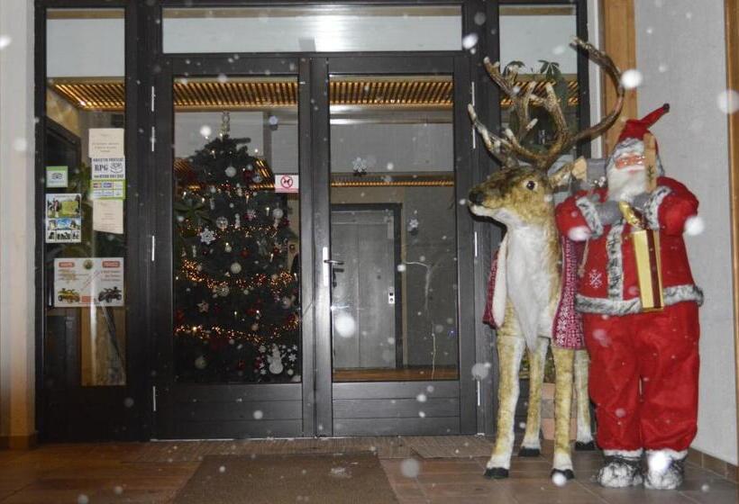 Отель Domeniul Dornei