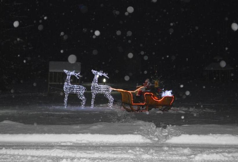 Отель Domeniul Dornei