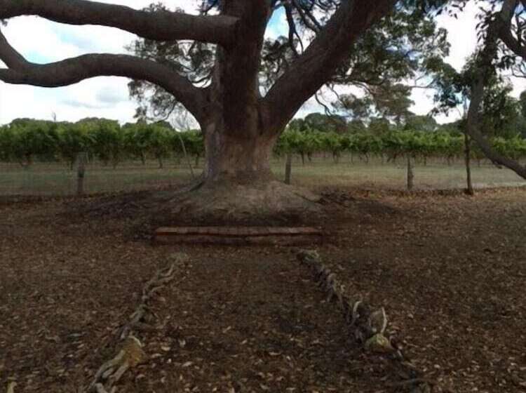 فندق Erravilla Country Estate