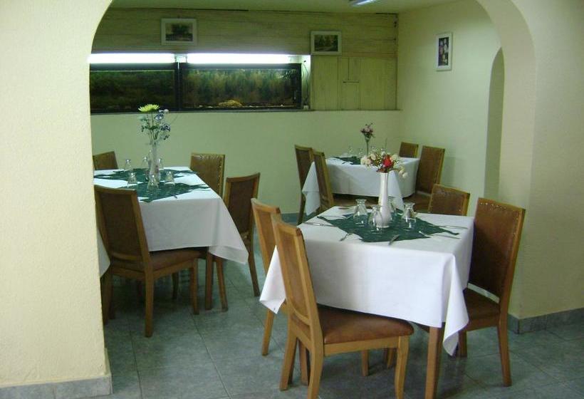 Отель Florentina