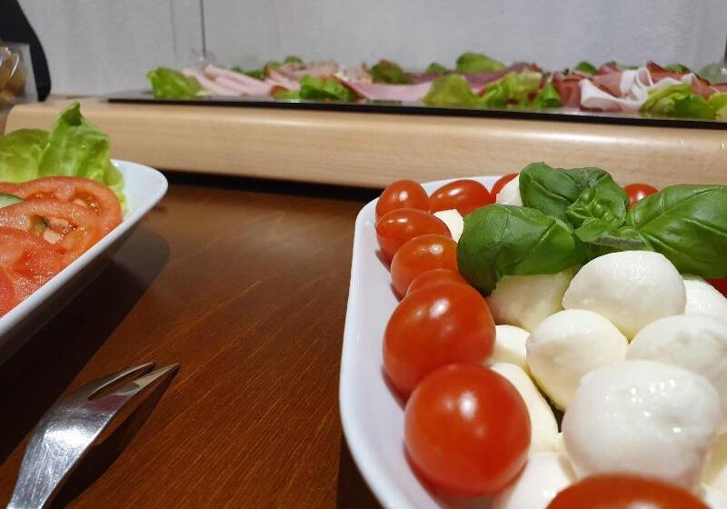 فندق Gunzburg City