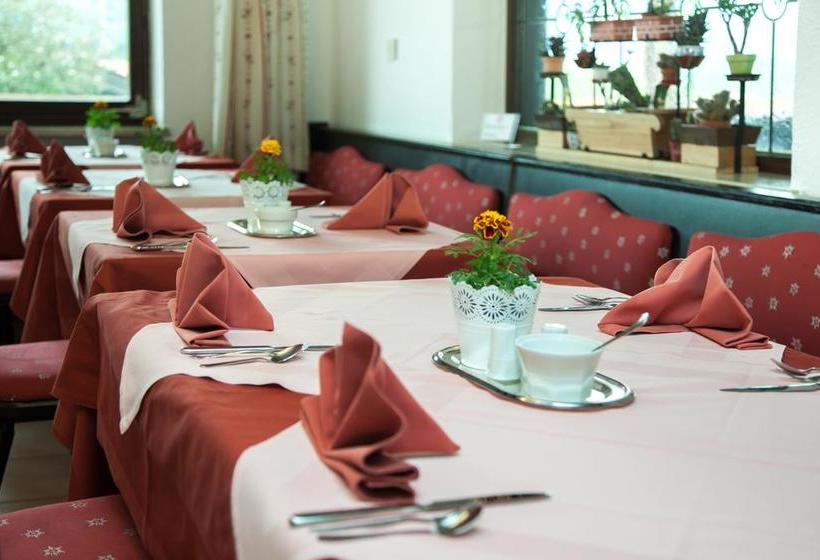 Chiemgau Hotel Viktoria