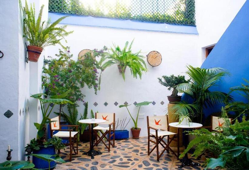 酒店 Hostal Casa Alborada