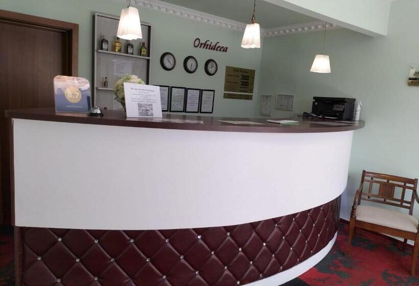 Отель Hostel Orhideea