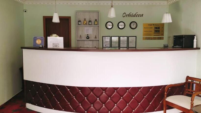 Отель Hostel Orhideea