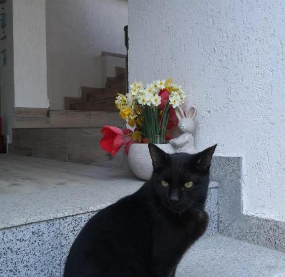 בית מלון כפרי La John